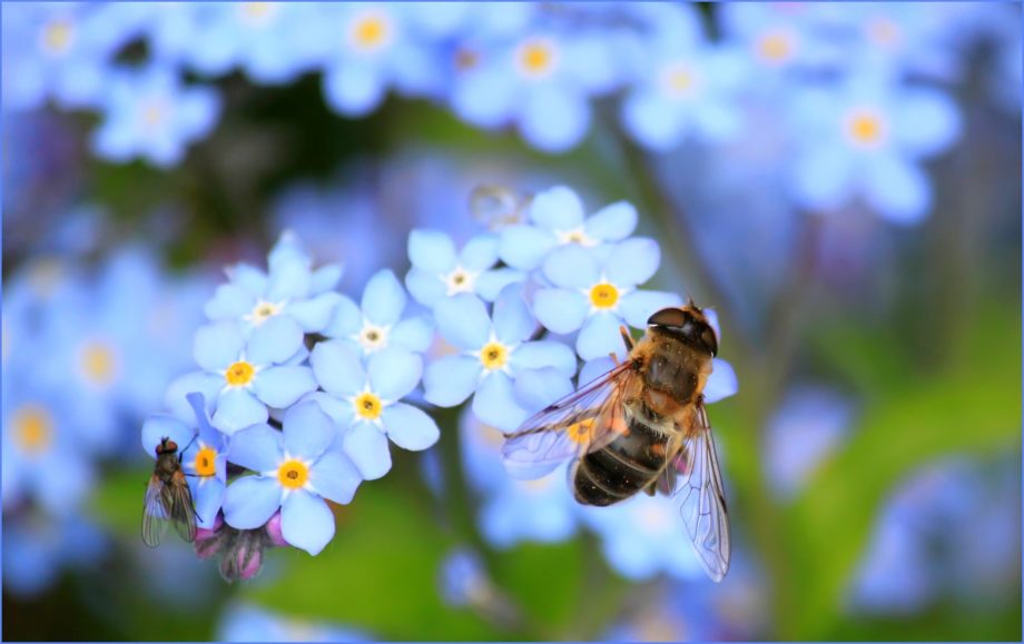 Bienen, Bühnen & ein Musikbaukasten